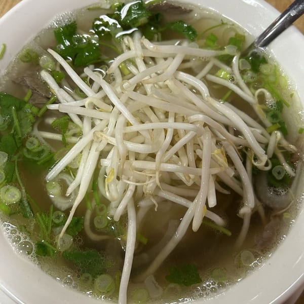 A close-up of a bowl of pho with bean sprouts, green onions, and cilantro.