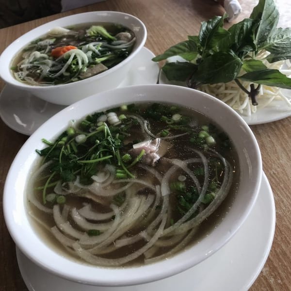 Two bowls of pho with noodles, meat, and herbs, alongside a plate of fresh basil and bean sprouts.